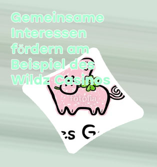 Wildz gute spiele